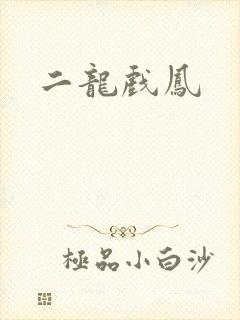 二龙戏凤
