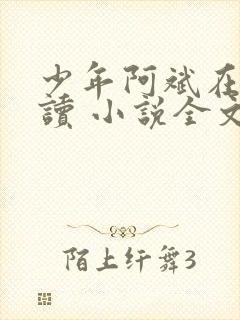 少年阿斌在线阅读 小说全文免费