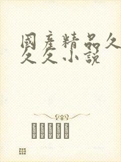 国产精品久久久久久小说