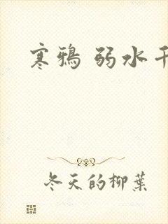 寒鸦 弱水千流