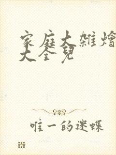 家庭大杂烩小说大全儿