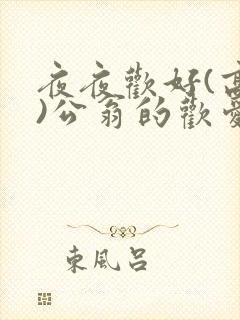 夜夜欢好(高h)公翁的欢爱