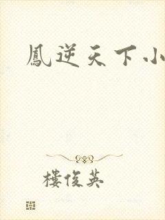 凤逆天下小说