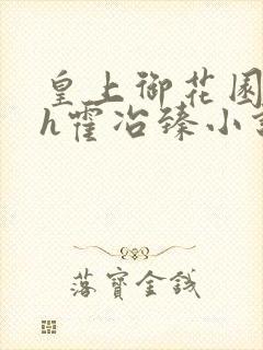 皇上御花园hlh霍冶臻小说