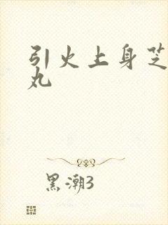 引火上身芝麻糖丸