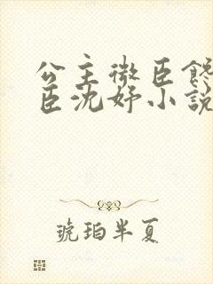 公主微臣馋了微臣沈妤小说