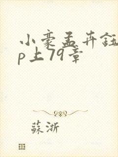 小豪孟卉钰慧三p上79章