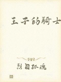 王子的骑士小说