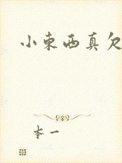 小东西真欠弄