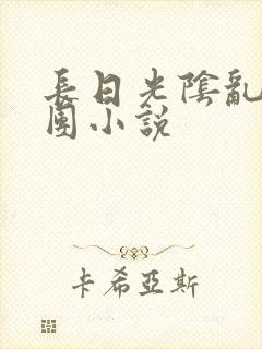 长日光阴乱作一团小说