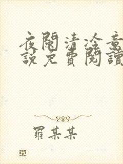 夜阑清冷意欢小说免费阅读