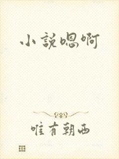 小说嗯啊