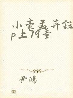 小豪孟卉钰慧三p上79章
