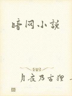 暗网小说