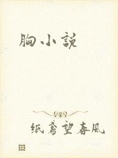 胸小说