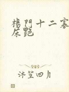 杨门十二寡妇肉床艳