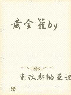 黄金笼by封面