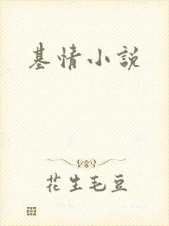 基情小说