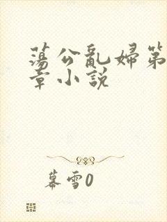 荡公乱妇第51章小说