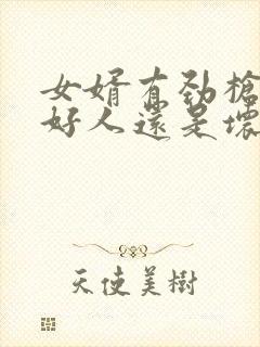 女婿有劲枪枪是好人还是坏人