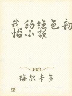 我的绝色韵母郑怡小说