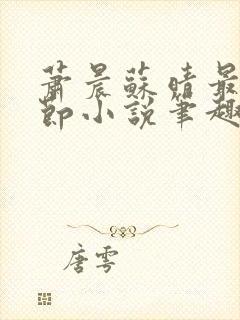 萧晨苏晴最新章节小说笔趣阁