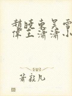 赵晓东吴雪晴郑伟王潇潇小说