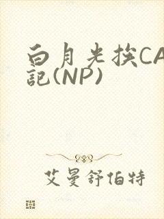 白月光挨CAO记(NP)