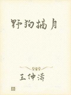 野狗摘月