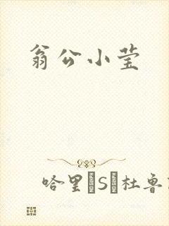 翁公小莹