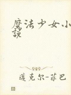 魔法少女小圆小说