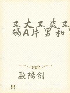 又大又爽又黄无码A片男和男