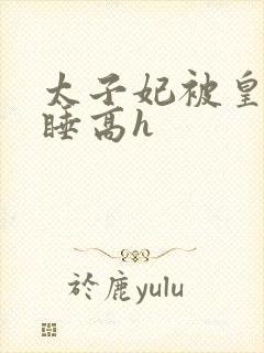 太子妃被皇上强睡高h