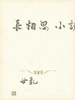 长相思 小说