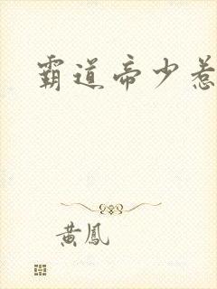 霸道帝少惹不得