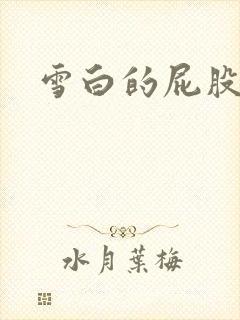 雪白的屁股小说