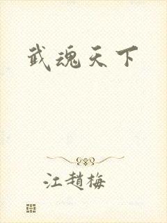 武魂天下