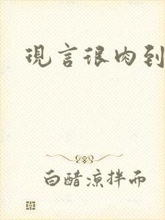 现言很肉到处做