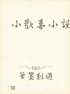 小欢喜小说