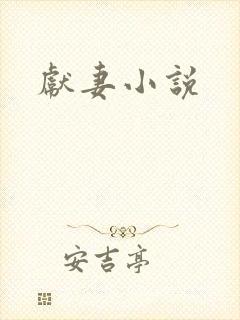 献妻小说封面