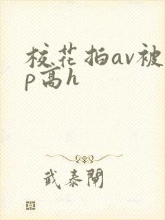 校花拍av被np高h