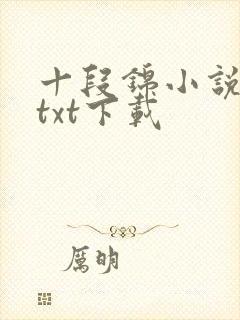 十段锦小说全本txt下载