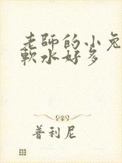老师的小兔子好软水好多