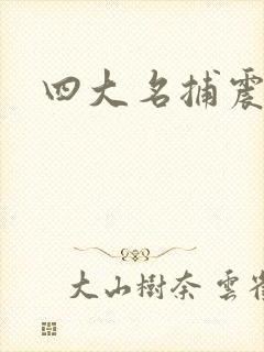 四大名捕震关东