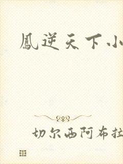 凤逆天下小说
