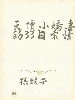 天价小娇妻总裁的33日索情