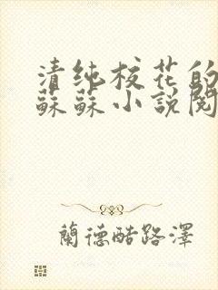 清纯校花的日常苏苏小说阅读全文