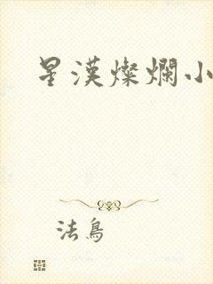 星汉灿烂小说