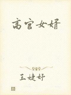 高官女婿
