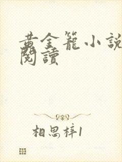 黄金笼小说免费阅读封面